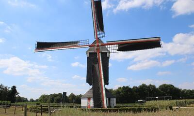 molen