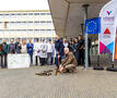 tegel wippen