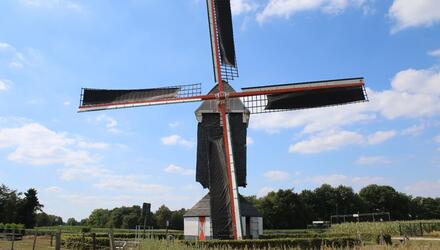 molen